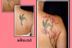Cover-Up 3